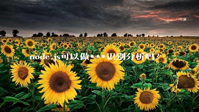 node.js可以做***识别分析吗？