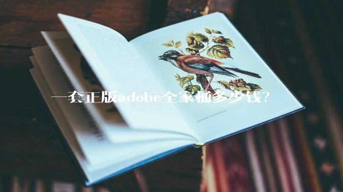 一套正版adobe全家桶多少钱？
