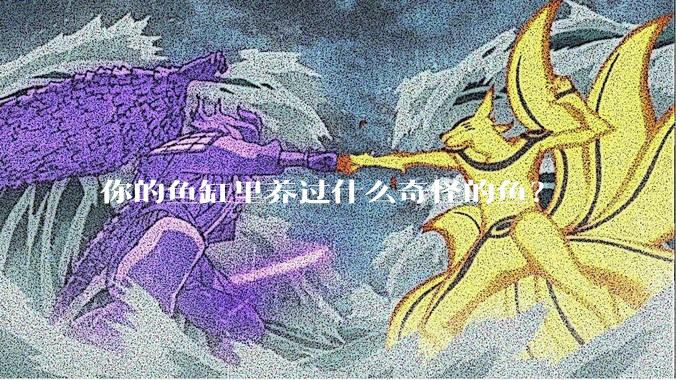 你的鱼缸里养过什么奇怪的鱼？