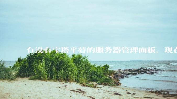 有没有宝塔平替的服务器管理面板，现在宝塔越来越贵了，也太臃肿了？